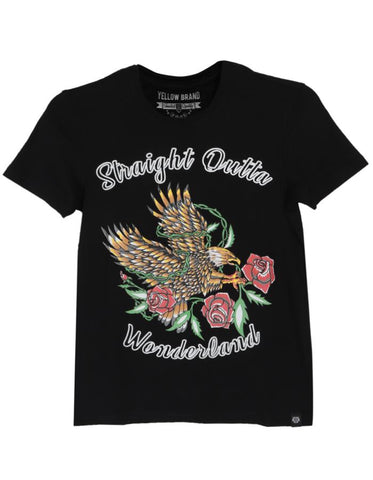 Junior Boys Tee Shirt (10-15 Years Old)